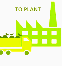 Biomass